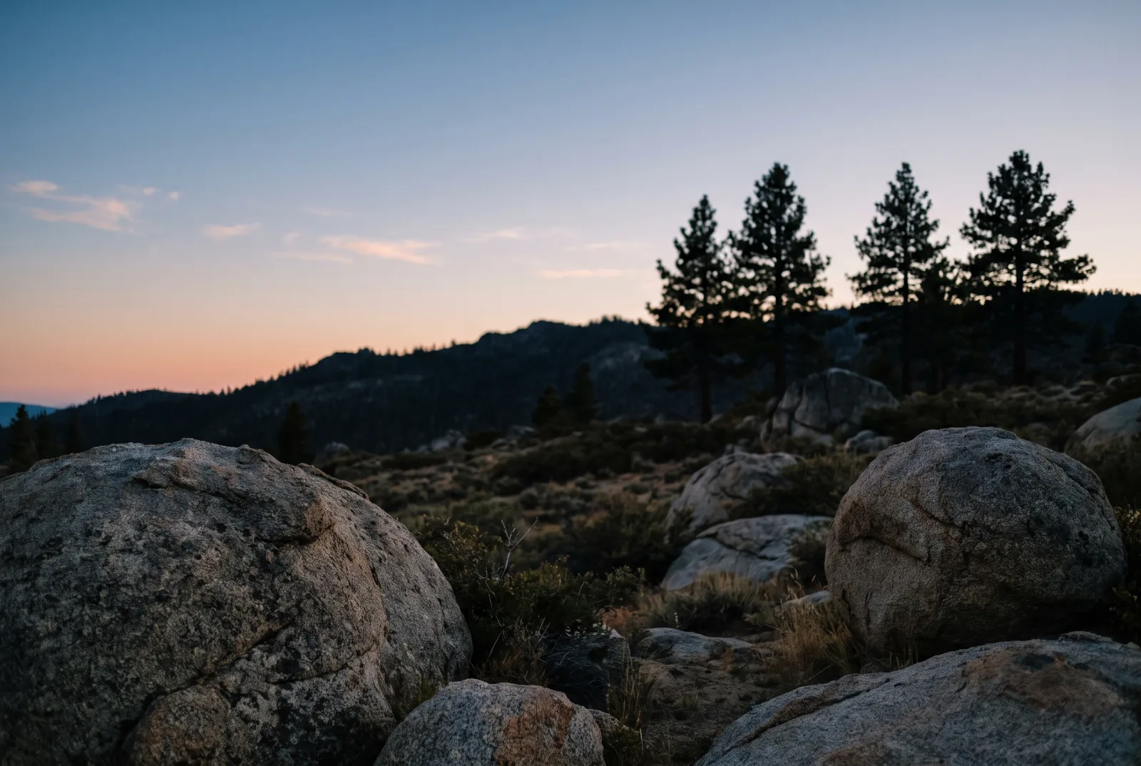 Granite boulders and Jeffrey pines on a Sierra ridge at dusk