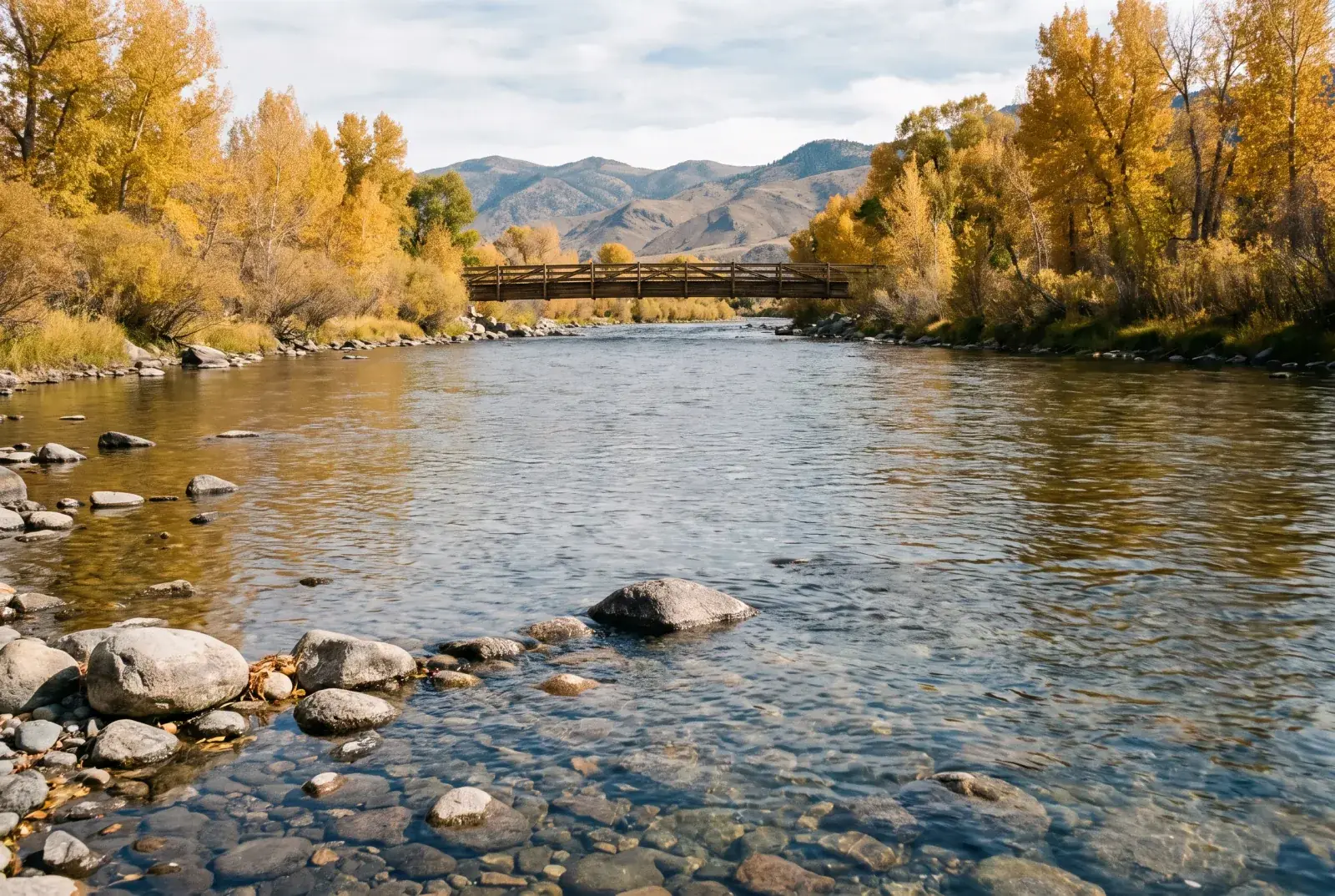 The Truckee River over granite cobbles under autumn cottonwoods